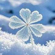 鸭梨呀的个人资料头像