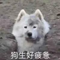 05小车主头像