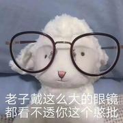 小米爱老鼠的个人资料头像