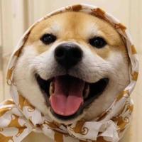 买个破奥迪要等大半年头像