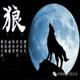 雪狼78229头像