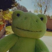 HFedc的个人资料头像