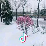 待你长发及腰，转头就跑头像