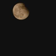 圆润的个人资料头像