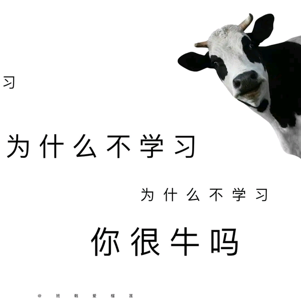 安安汽车品头像