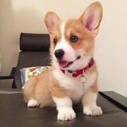 用户4981515655429的个人资料头像