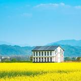 sunshine19906头像