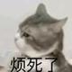 inm.头像