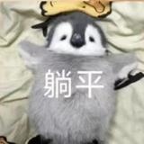 骑猪喂萝卜头像