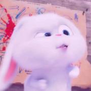 保卫大萝卜810的个人资料头像