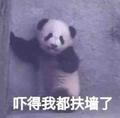 神秘菠萝MAX头像