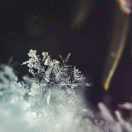 LEO_GOGO的个人资料头像