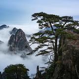 孙大圣1223头像