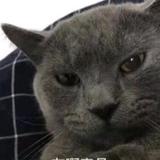 境界的头像