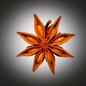 自由伊夫林9E头像