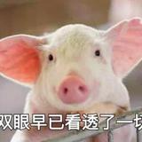 嗝哎呦呦头像