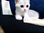 五五开没有开挂的个人资料头像