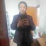需要鸡鹅鸭苗及种旦者联系我！头像