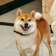 林峰743的个人资料头像