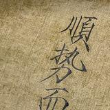 顺势而为逆势而变头像