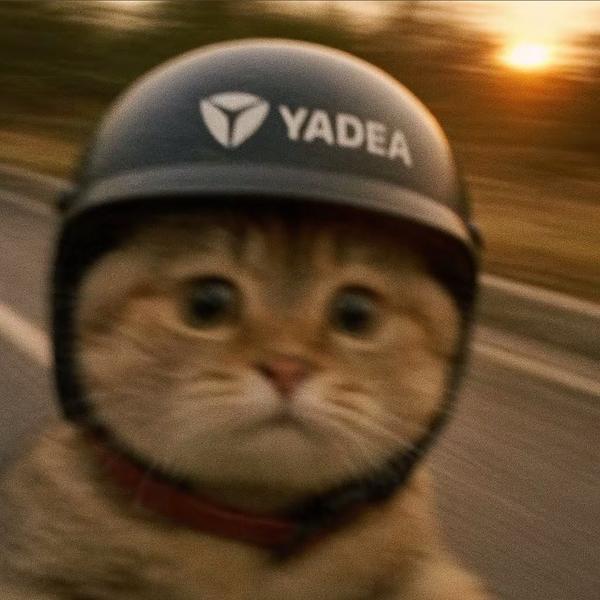 用户955136296198头像