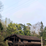 手机aqyyyrrrbxfgh头像