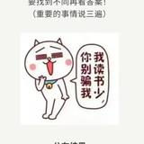 风云传奇T9头像