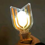 苏南燕双鹰头像