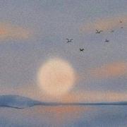 温存1617的个人资料头像