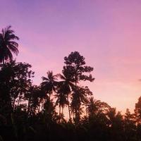 纸箱生产厂家-傅佳正头像