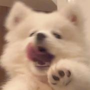 用户3728121081549的个人资料头像