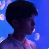 孔雀城联系都头像
