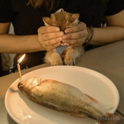 小镇梦想家的个人资料头像