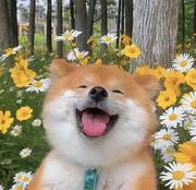 ryuuam的个人资料头像
