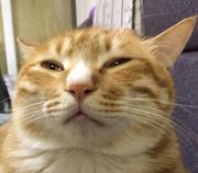 boom123的个人资料头像