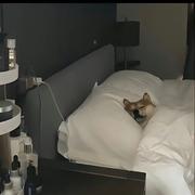 钟于忠于衷于终于的个人资料头像