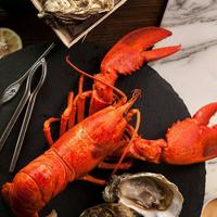 酒醉的蝴蝶91头像