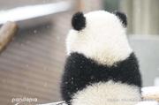 littleboy的个人资料头像