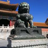 运动德温9t0头像