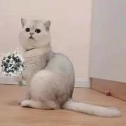 李广坤的个人资料头像