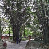 喜疾行头像