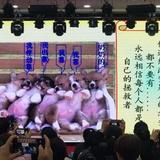 博学多才的豆花Tc头像