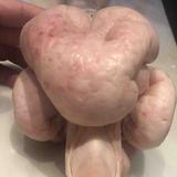 二八老鹅王头像
