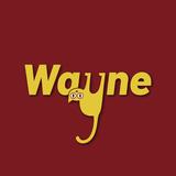 Wayne调查头像