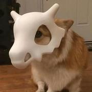 枝枝zz的个人资料头像