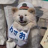 Rhythm606头像