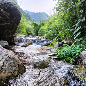 爬山涉水只为等你头像