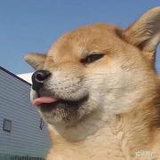 Liuxingyu的个人资料头像