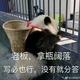 人生苦短18132头像
