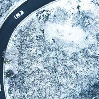 陈威60288774头像